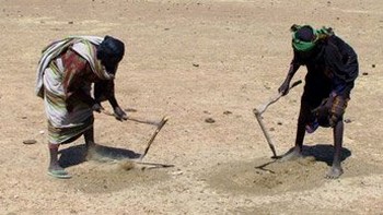 Campagne agricole 2017 : Plus de 4 millions de Maliens menacés par la crise alimentaire