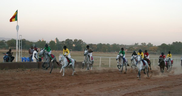 Champ hippique de Bamako : Le monde du sport équestre et toute la commune II s’opposent aux projets prédateurs du maire du District