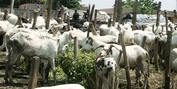 Nyesigiso :  Campagne Epargne WASSA SELIBA