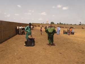 Cercle de Ténenkou : Kareri, nouveau foyer de tension au Mali