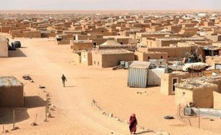 Les camps de Tindouf mis en état d'alerte