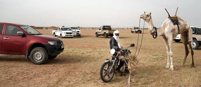 Transhumance des dromadaires : Les ressortissants de Guidimakan tirent la sonnette d’alarme