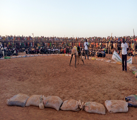 7e edition du challenge Sotelma-Malitel de lutte traditionnelle :  Aldjouma Sagara de Dung Yara enlève le grand drapeau