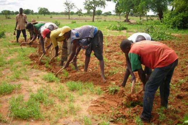 13ème édition de la Journée du Paysan : L’emploi des jeunes en milieu rural au cœur des préoccupations