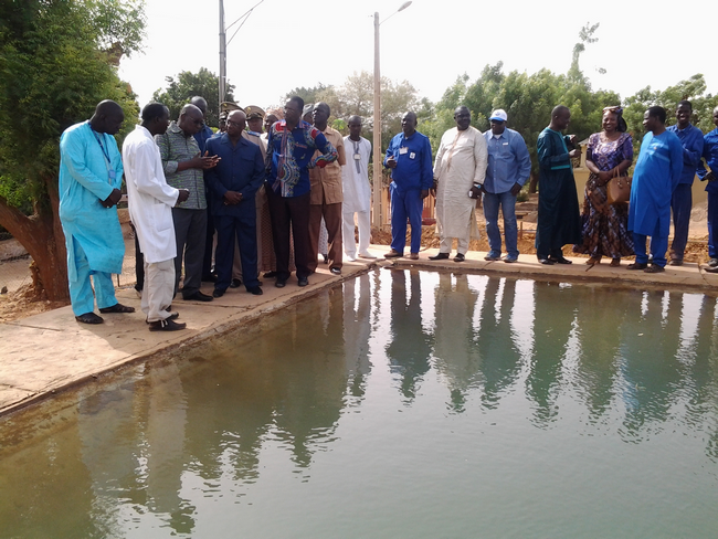 Visite du ministre de l’Energie et de l’eau dans la région de Kayes Les populations de Nioro du Sahel, le Chérif Bouyé Haidara en tête,  satisfaits de la desserte en eau et en électricité