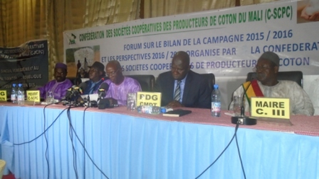 campagne agricole 2016-2017 : 650 000 tonnes de coton graine promises par les producteurs de coton