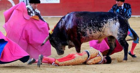 La femme du torero écorné est brisée: "La vie est injuste "