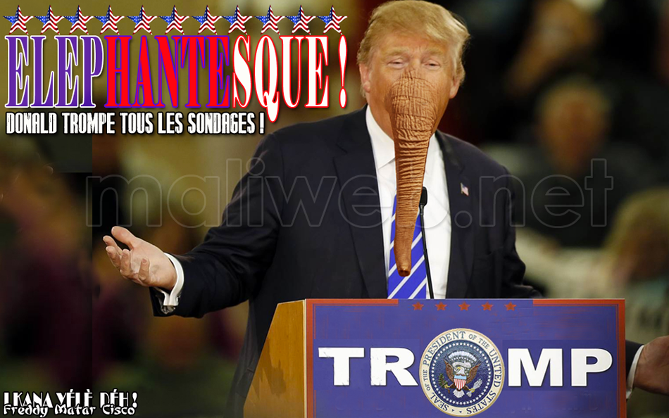 Donald trompe tous les sondages