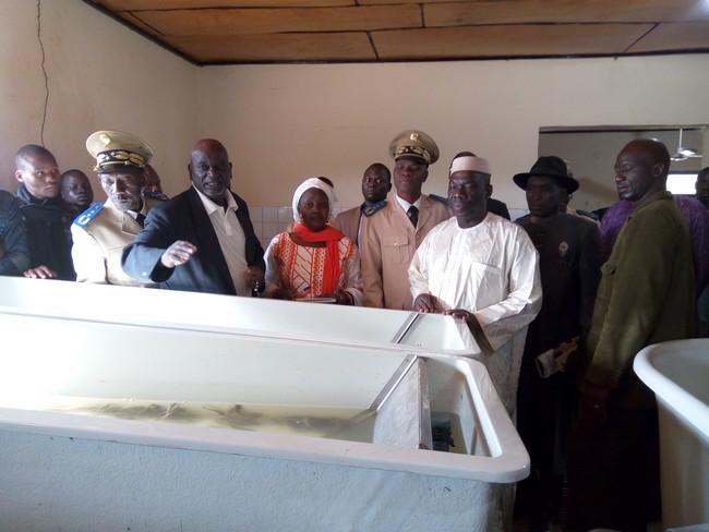 Renforcement du secteur de la pêche et de l’élevage dans la région de Ségou, le Dr Nango Dembélé  à la rencontre des sites de formation