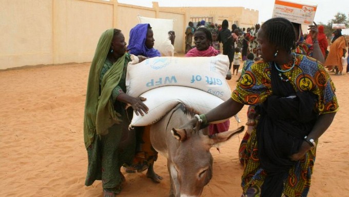 Situation alimentaire au Mali de juin à août 2023 : Selon OCHA, tous les cercles de Ménaka sont en urgence nutritionnelle