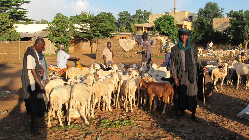 Les Peuls aussi veulent un Mali « un et indivisible »