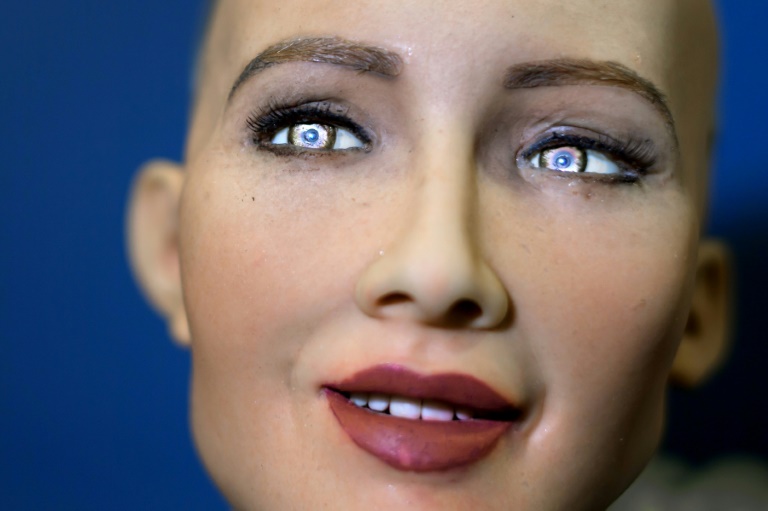 L'intelligence artificielle: entretien avec un robot