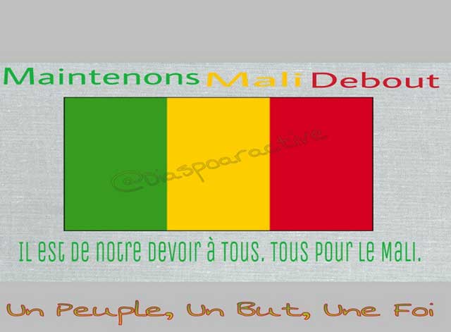 Révision constitutionnelle au Mali :  Plateforme contre plateforme : la campagne 2018 officieusement ouverte