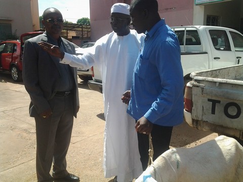 Fête de Tabaski 2017 :  La représentation du Port  de Cotonou au Mali offre 20 moutons à ses partenaires