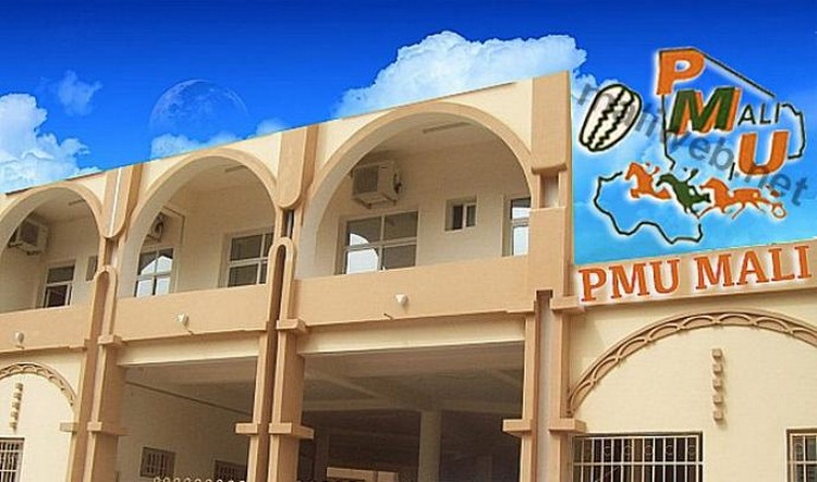 PMU-Mali : Une entreprise citoyenne pour absorber le chômage