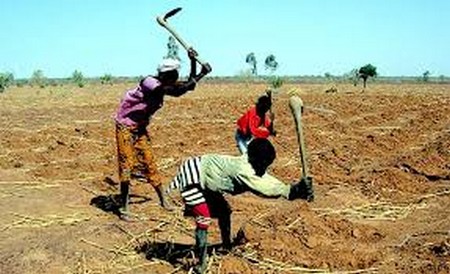 Adaptation au changement climatique : le PNUD interpelle les États