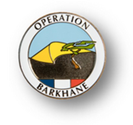 Communiqué  de presse : Opération de Barkhane à Ménaka