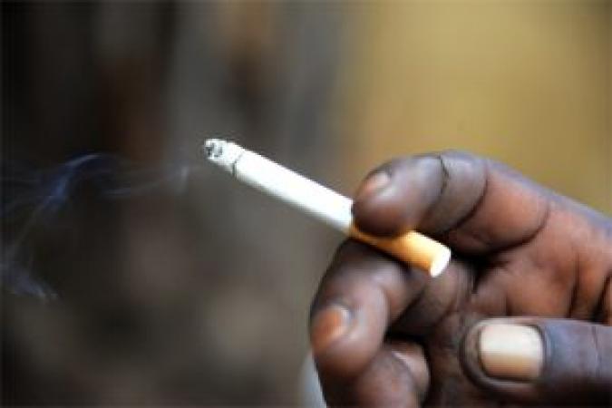 Journée mondiale sans tabac : Le tabac tue plus de 6 millions de  personnes par an dans le monde