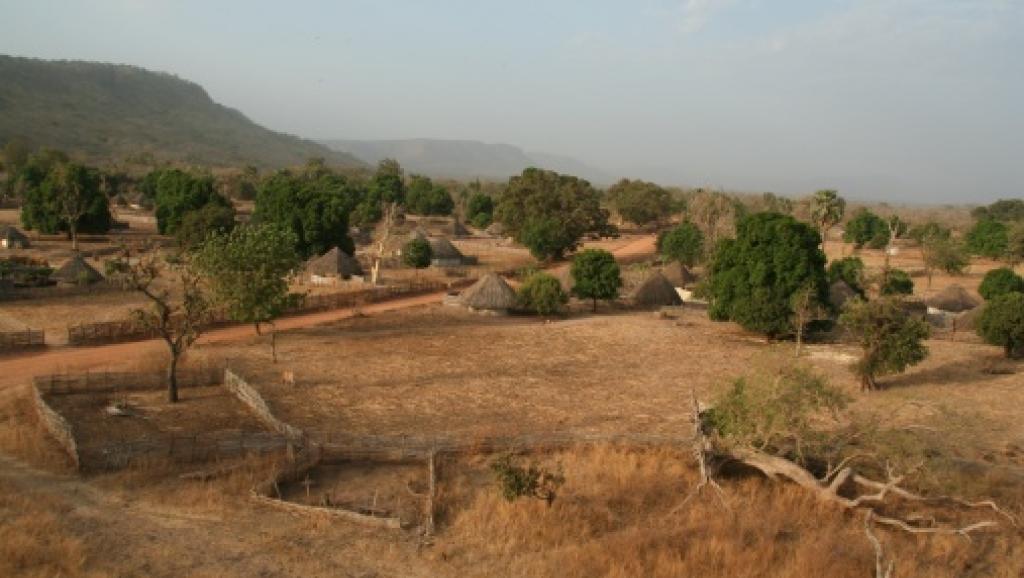 Les paysans maliens face à l'accaparement des terres