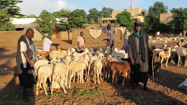 Koumaga : une attaque fait une trentaine de morts