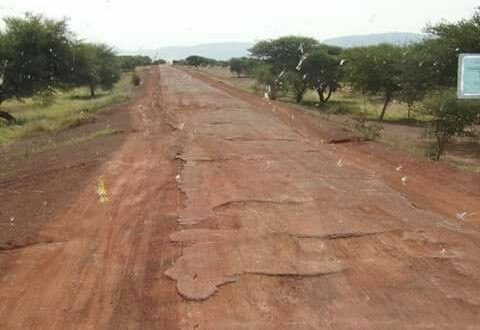 Aux fins électoralistes : Le bitumage de la route Gao-Bourem-Taoussa reprend !