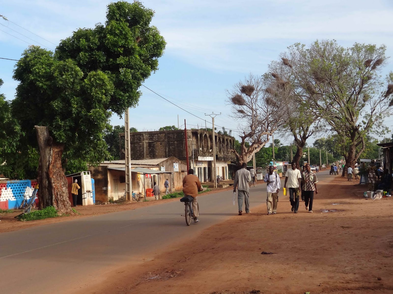 CCREF de Koutiala : On vend du sang !