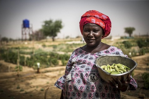 La faim en Afrique : 257 millions de  personnes en sont victimes selon le rapport des Nations-Unies