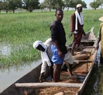 KAYES : le chavirement d’un pirogue fait 01 mort et 11 blessés