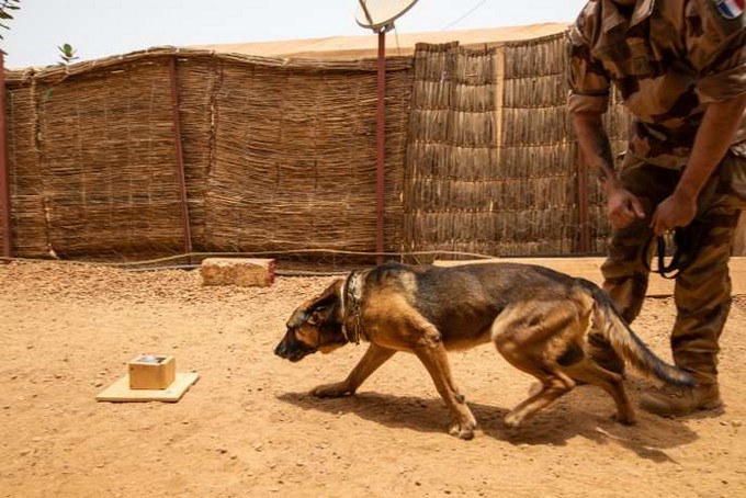 « C’est l’arme des lâches » : au Mali, l’opération « Barkhane » face aux mines artisanales