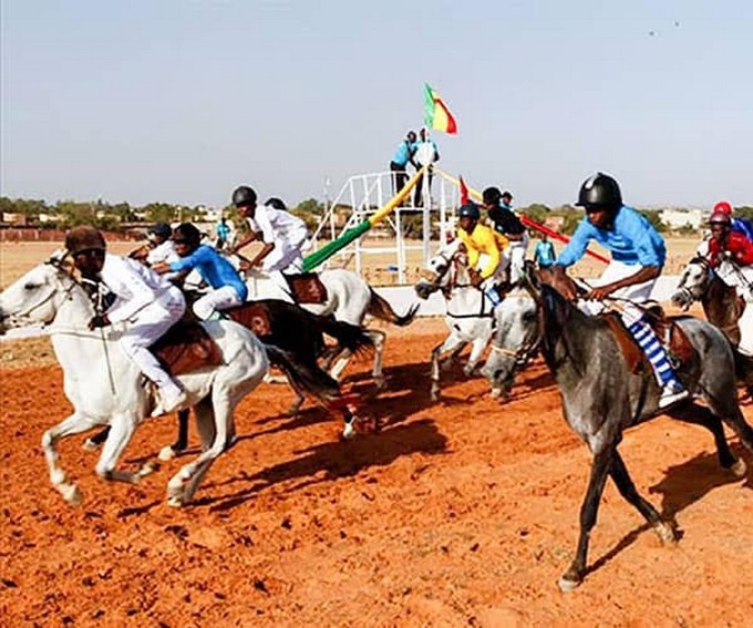 Grand prix PMU 2019 :  Juge remporte le trophée