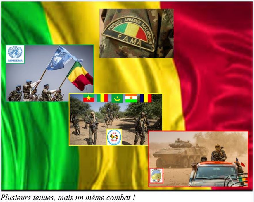 Sentiment anti-français au Mali : Ne nous trompons pas d’ennemis !