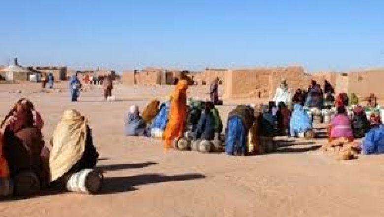 Droits des enfants :  La situation des enfants dans les camps de Tindouf exposés