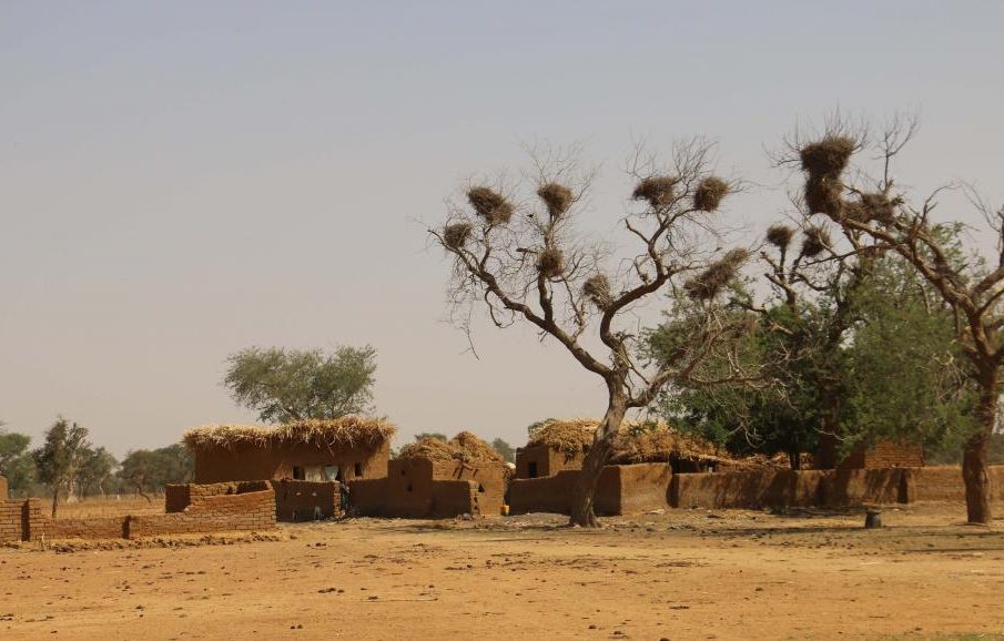 #Mali : Ténenkou : Diafarabé sous blocus des terroristes ?