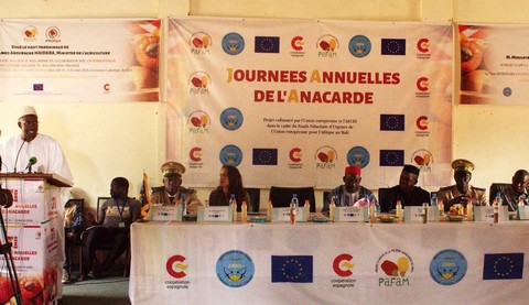 7e édition des Journées annuelles de l’Anacarde: 100 000 tonnes produites pendant la campagne 2019/2020