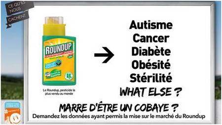 Dégâts du glyphosate dans le secteur agricole au Mali : Le silence coupable de l’Office de Protection des Végétaux (OPV)