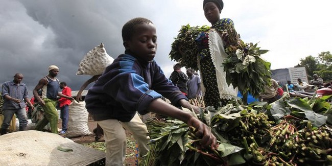 Comment la France imagine une possible implosion de l'Afrique face au Covid-19