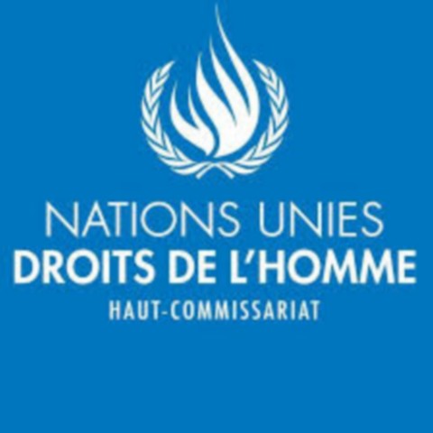 Droits de l’Homme :    Le Mali est-il victime d’un concept à géométrie variable ?