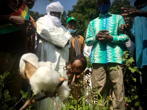 Visite du Ministre de l’Agriculture, de l’Elevage et de la Pêche en zones CMDT : le Mali nouveau se fera avec le coton