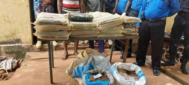 Trafic de drogue : 122 kg d’herbes de cannabis saisis par le 12e arrondissement de Bamako