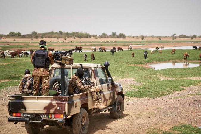 Mali : l’Armée récupère du bétail volé dans le centre