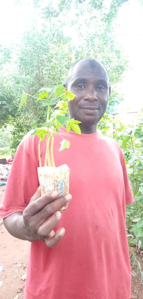 Portrait :    Abdoulaye Koné, les plantes dans l’âme