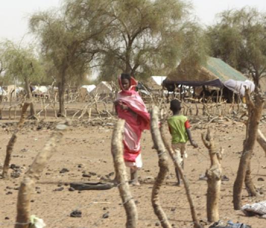 Commune de Sana : L'embargo terroriste et la faim tenaillent la population