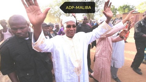 Retour d’Aliou Boubacar Diallo au pays :  Nioro du Sahel a vibré de sa présence !