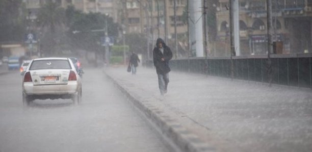 En Egypte, des pluies inédites depuis 11 ans provoquent 4 morts et 500 piqûres de scorpions