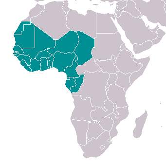 Pourquoi les coups d'Etat reviennent en Afrique de l'Ouest (ANALYSE)