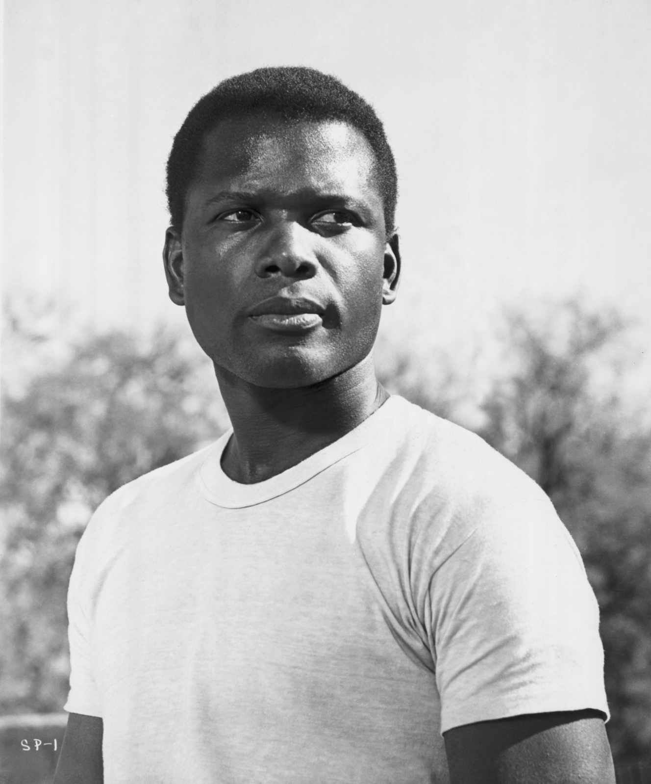 Sidney Poitier, premier comédien noir à recevoir l’Oscar du meilleur acteur, en 1964, est mort