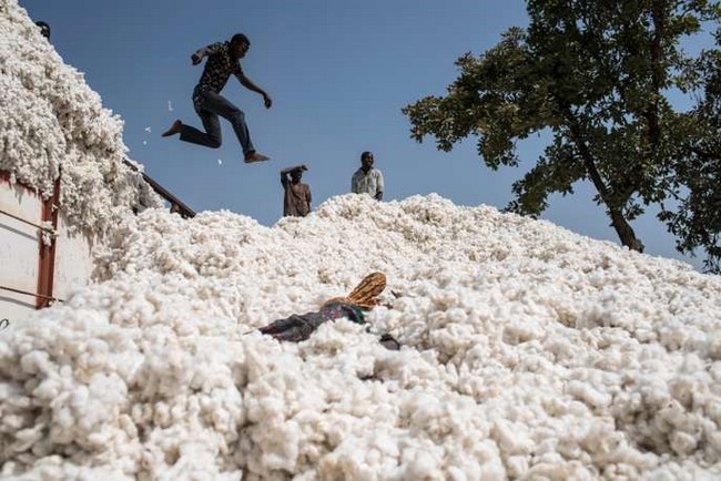 Le créateur François Premier à propos du coton Africain :  « L’Afrique se développera  par la transformation locale de ses matières premières.»