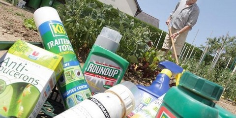 Protection de l’environnement : Des pesticides ultra-dangereux déversés sur nos sols ?