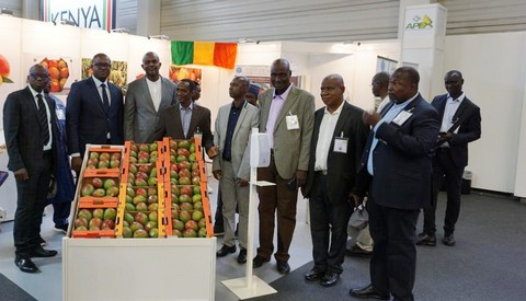 Le Mali au salon fruit logistica en Allemagne : Vers une augmentation du volume des exportations de fruits et légumes !