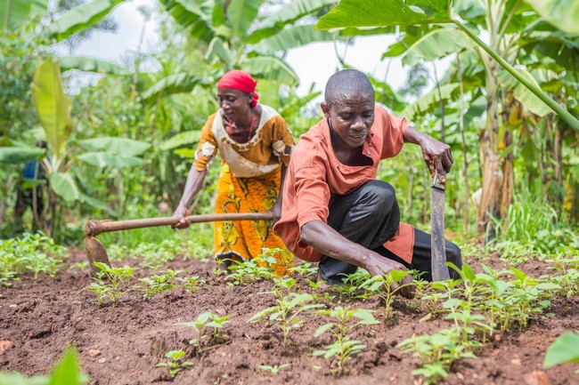 Émergence socio-économique du Mali :    Ce qu’il faut faire pour rentabiliser les immenses potentialités agricoles du pays